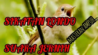 Download lagu SIKATAN LONDO GACOR SUARA JERNIH ....COCOK UNTUK MASTERAN mp3 Download lagu SIKATAN LONDO GACOR SUARA JERNIH ....COCOK UNTUK MASTERAN mp3