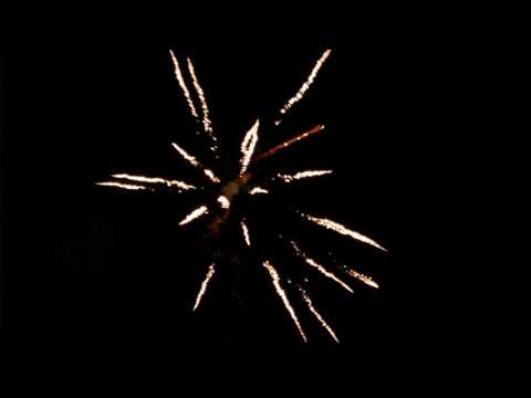 Txb923  300 shots 40 kilo flowerbed