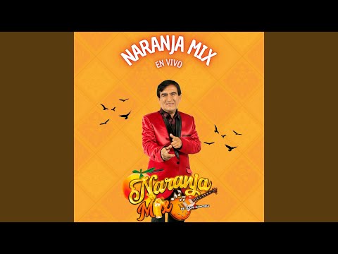 Mix Sentimiento N° 1 (En Vivo)