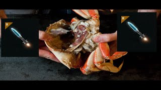 Cracking Open Phorde Krabs