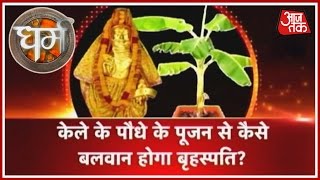 Dharm: Magic Of Banana Tree