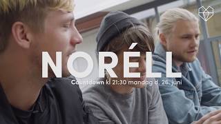 Roskilde Mixtape #5 - Noréll