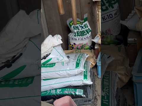 自家製の天然肥料: 植物に肥料を与えて栄養を与えるためにどのような注入液を調合すればよいでしょうか?  庭園