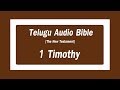 Telugu Audio Bible - 1st Timothy
