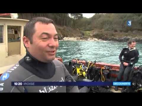 2016 04 11 - JT Local 19 20 - Iroise France 3