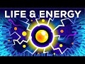 Why Are You Alive – Life, Energy & ATP