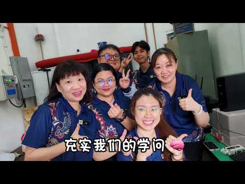 Lagu Sekolah SJK c Seelong