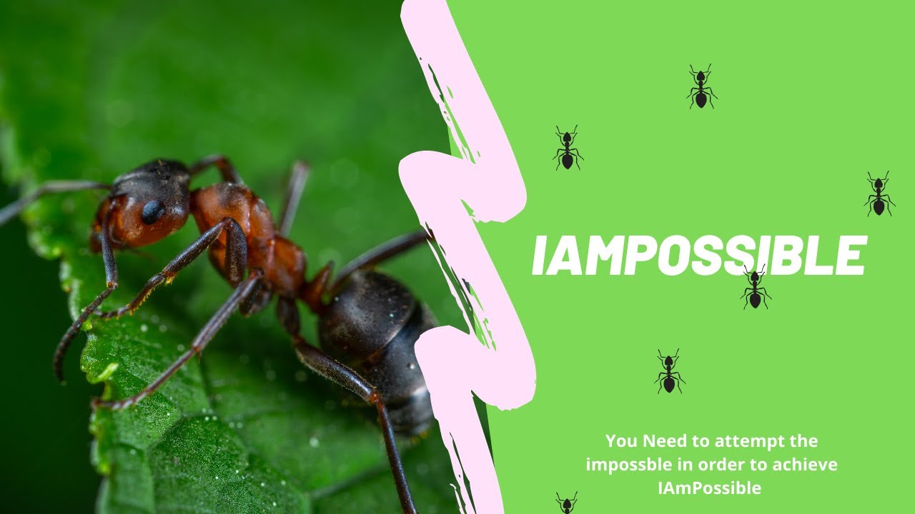 IAmPossible | inspirational video | Ayush Kakkar | Code Boat |