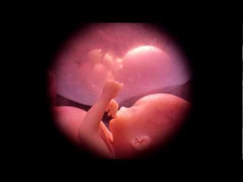 UN ANGEL DEL CIELO BOBBY PULIDO