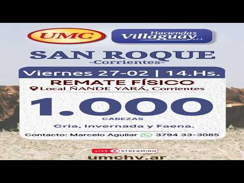 REMATE DE HACIENDAS GENERALES, 1000 CABEZAS.  LOCAL ÑANDE YARA SAN ROQUE CORRIENTES