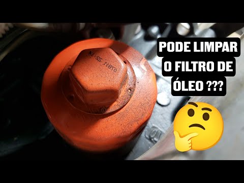 Precisa trocar o FILTRO toda vez que troca o ÓLEO DO MOTOR?? Posso limpar o filtro??