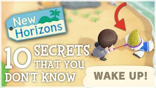 Animal Crossing New Horizons - 10 SECRETS You STILL Don