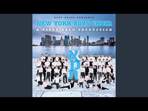 Vzakeini (feat. Baruch Levine, Benny Friedman & Shir Vshevach)