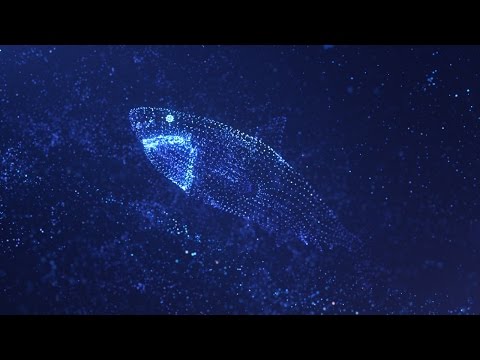 Trapcode Form - Particle life