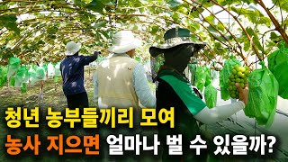 청년 농부들이 함께 모여 일을 시작한 이유 [샤인머스캣, 홍주씨들리스, 복숭아 농사] 농브라더스 3부