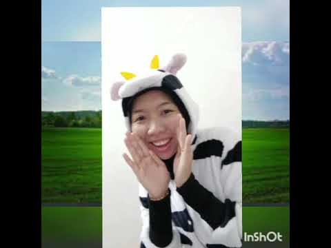 Lets learn about TAME ANIMALS with (Tadika Nurul Taqwa)