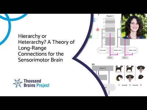 2025/07 - Hierarchy or Heterarchy? A Theory of Long-Range Connections for the Sensorimotor Brain