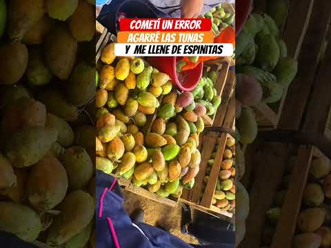 Cometí este error #tunas#santacruz#vallegrande