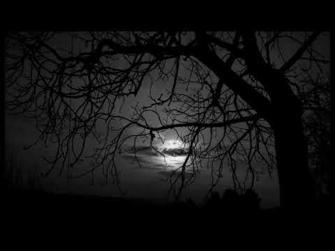 "Nymphes des bois" - Josquin des Prez (c.1450 -1521)