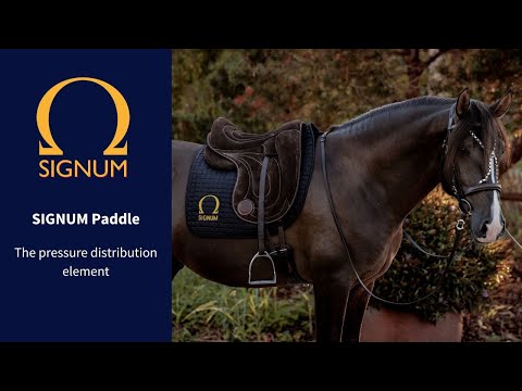 SIGNUM Paddle - The pressure distribution element