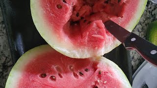 #watermelonwarz2025 full video #ginavsgina, #brokefarmer,#davidcorywithcroo