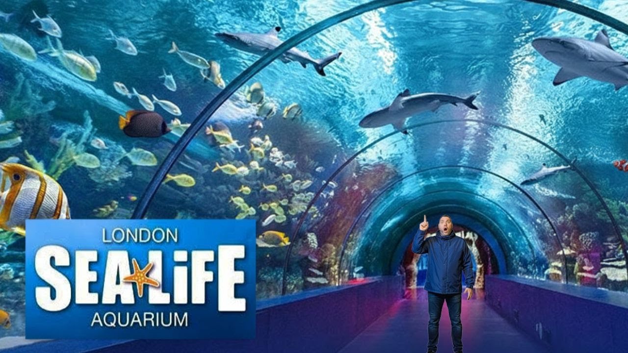 SEA LIFE Aquarium London | Full Walkthrough 2026