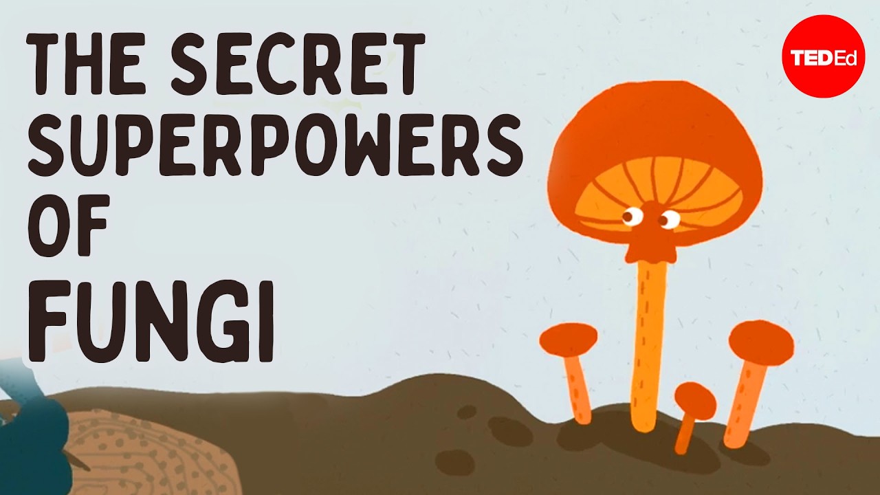 Psychedelics, mind control, radiation-eating: The secret superpowers of fungi - Max G. Levy