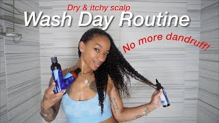 how to get rid of DANDRUFF on Natural hair| wash day routine| AS I AM HAIR CARE