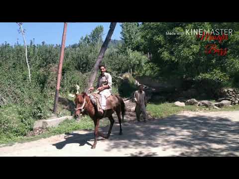 Hamchipora khag budgam 193411