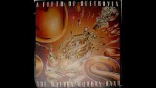 The Walter Murphy Band - Russian Dressing