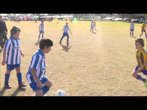 Brighton Soccer Club Caruana Cup U9 and U10