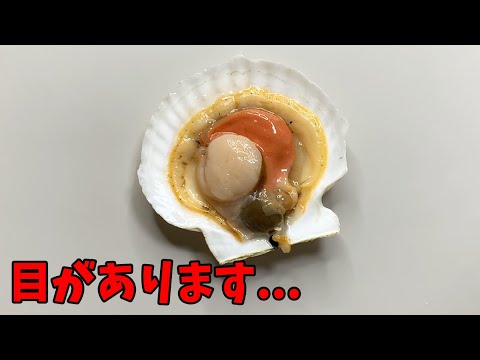 コンゴウインコ