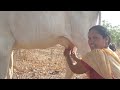 Viral Prepare Milk Making Vlog