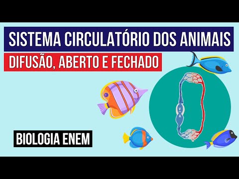 SISTEMA CIRCULATÓRIO DOS ANIMAIS: difusão, aberto e fechado | Biologia para o Enem | Cláudia Aguiar