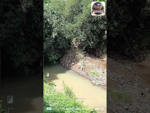 GOTONG ROYONG WARGA RW 16 JELO – PENANGANAN RUMPUN BAMBU DAS REMBANGAN #JEMBER #JELO #SWARAJELOKIMID