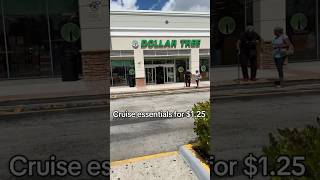Grab these Cruise Essentials for $1.25 At Dollar Tree