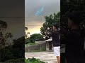 88cm Mini Kite In Heavy Wind MAIL CV
