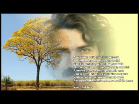 YPE - Belchior