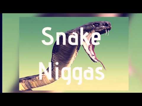 Dlo Ft. Dtill Snake Niggas