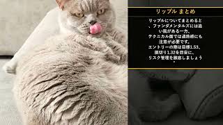 本日の投資注目TOP10【8/30 21:00】