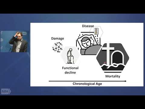 Targeting Aging, Longevity and Rejuvenation