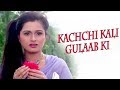 Ek Sabz Pari HD Full Video Hindi Song Do Dilon Ki Dastan Sanajy Dutt Padmini Kolhapure