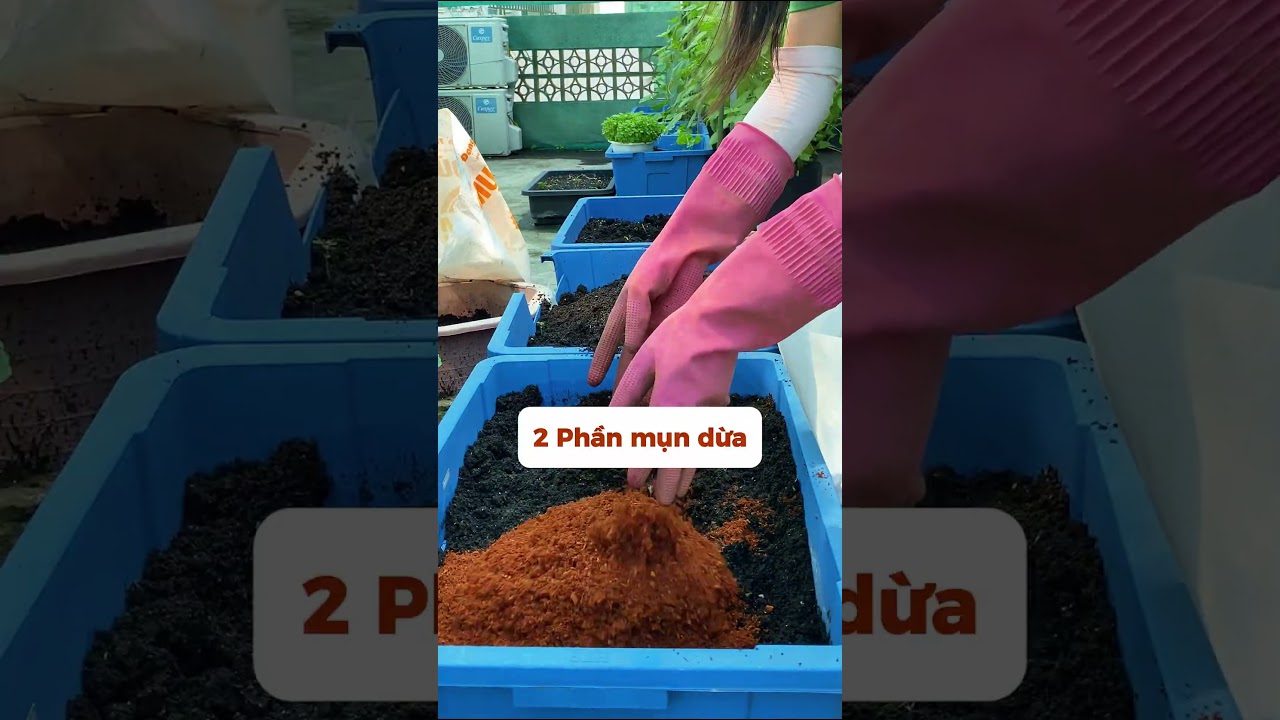 Instructions on mixing soil for growing clean vegetables in plastic trays and styrofoam container...
