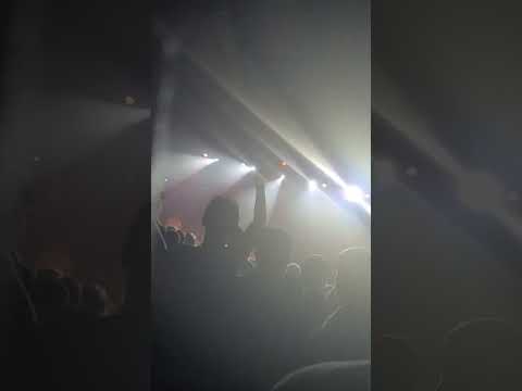 Koncert yang multiego Katowice 21 05.2022r