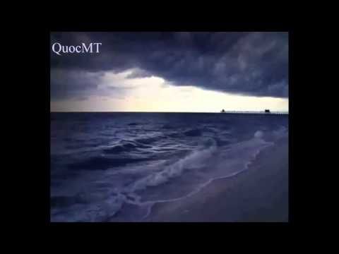 Chắp tay lạy người Sheet - Chế Linh