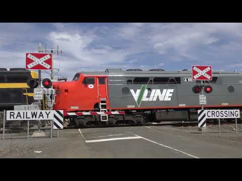 Rowans Lane Level Crossing, Allansford, Victoria! (A66+X31) (+Explanation on wednesdays video)