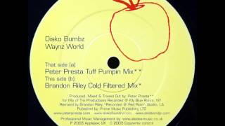 Disko Bumbz - Waynz World [Brandon Riley cold filtered mix]