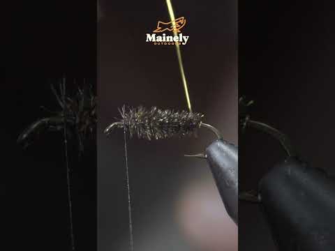 507 Year OLD Fly Still Catches Fish!!