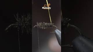 Download lagu 507 Year OLD Fly Still Catches Fish!! mp3