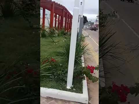 Boninal Bahia